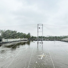 Thu nhập tiền tỷ nhờ dám nghĩ, dám làm